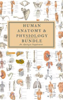 Preview of Human Anatomy & Physiology Bundle (a supplement for the Apologia course)