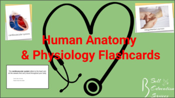 Preview of Human Anatomy & Physiology Flashcards: Cardiovascular System