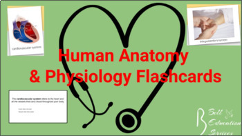 Preview of Human Anatomy & Physiology Flashcards: Muscular System