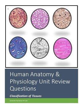 Preview of Human Anatomy & Physiology Review Worksheet: Body Tissues (Virtual Friendly)