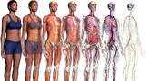 Human Anatomy & Physiology Unit 1 Bundle: Introduction to 