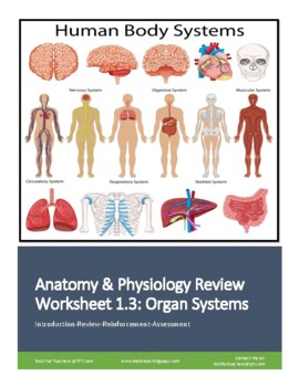 Preview of Human Anatomy & Physiology Unit 1 Review Worksheet 3: Organ Systems Overview