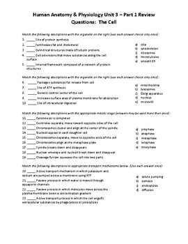 anatomy and physiology chemistry worksheet