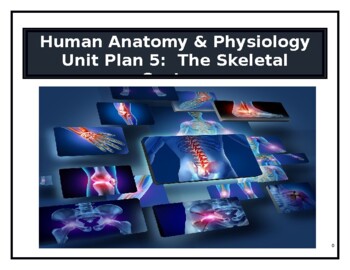 Preview of Human Anatomy & Physiology Unit Plan 5: The Skeletal System (SIOP/Differentiated