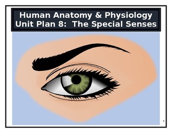 Preview of Human Anatomy & Physiology Unit Plan 8: The Special Senses