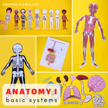 Preview of Human Body Anatomy for Kids: Basic Bundle