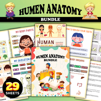 Preview of Human Anatomy Sheets, Human Body System, Learn Body Parts Names, Anatomy Study