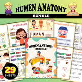 Human Anatomy Sheets, Human Body System, Learn Body Parts 