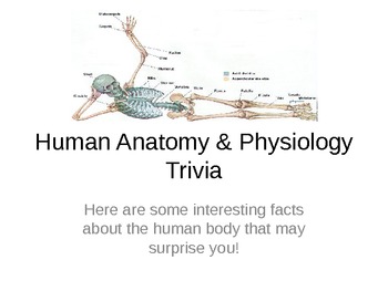 Preview of Human Anatomy Trivia PPTx