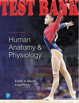 Preview of Human Anatomy and Physiology 11th Edition Elaine N. Marieb Katja Hoehn_TEST BANK