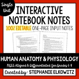 Human Anatomy and Physiology Editable Notes