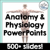 Human Anatomy and Physiology Powerpoint Presentation Bundl