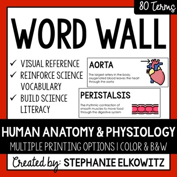 Preview of Human Anatomy and Physiology Word Wall | Science Vocabulary