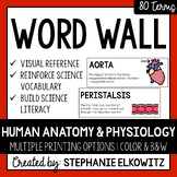 Human Anatomy and Physiology Word Wall | Science Vocabulary