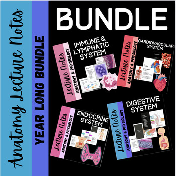 Preview of Human Anatomy and Physiology YEAR-LONG Notes Bundle