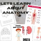 Human Anatomy systems|coloring sheets