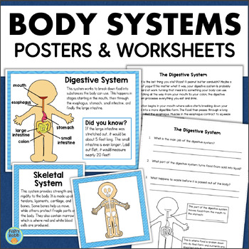 human body systems science posters reading comprehension worksheets