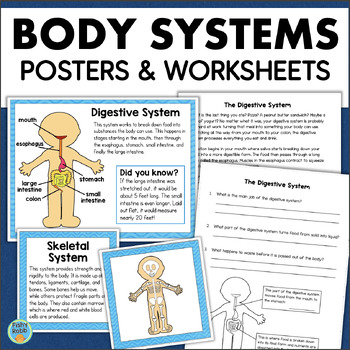 Preview of The Human BODY SYSTEMS Activities Science Reading Passages Organs Body Parts