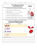 Human Blood Guided Notes (Part 1)