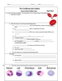 Human Blood Guided Notes (Part 2)