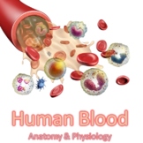 Human Blood Powerpoint