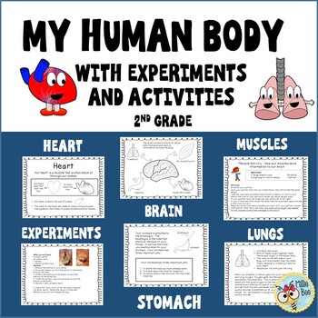 Preview of Human Body - Heart- Brain - Lungs - Stomach - Muscles -Experiments 2nd grade