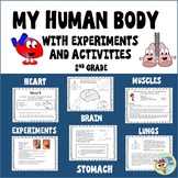 Human Body - Heart- Brain - Lungs - Stomach - Muscles -Exp
