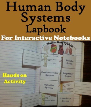 Preview of Human Body Systems Activity Interactive Notebook Foldable (Anatomy & Physiology)
