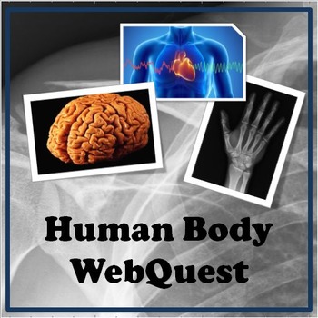 Preview of Human Body Systems WebQuest