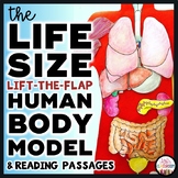 Human Body Systems Project & Lift-the-Flap Model w/ Human Body Reading Passages