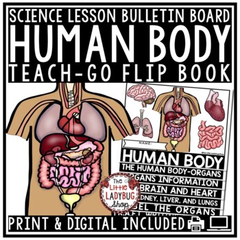 Preview of Human Body Organs Systems Activities Research Brain, Heart Science Lessons