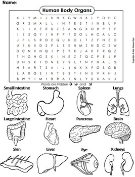 Human Body Systems Review: Organs Word Search/ Coloring ...