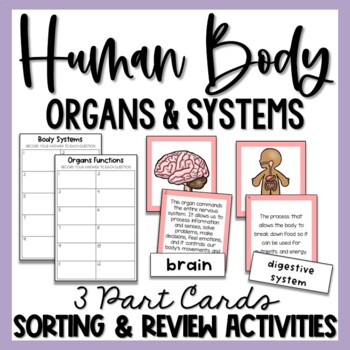 Preview of Human Body 3 Part Card Bundle - Body Systems & Organs