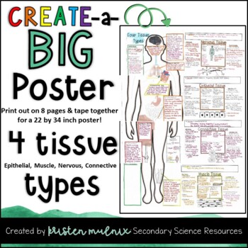 Preview of Human Body 4 Tissue Types Create a BIG Poster Project!
