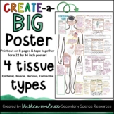 Human Body 4 Tissue Types Create a BIG Poster Project!