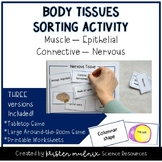 Human Body 4 Tissue Types Sorting Activity