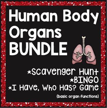 Preview of Human Body Organs Activities and Games