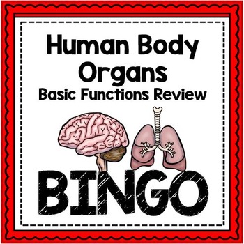 Preview of Human Body Activity Review Bingo - Human Body Organs Vocabulary