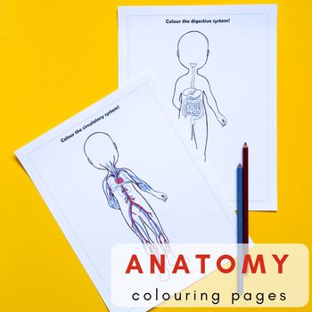 Preview of Human Body Anatomy Colouring Pages & Drawing Prompts