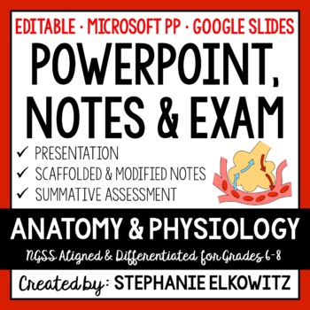 Preview of Human Anatomy and Physiology PowerPoint, Notes & Exam - Google Slides