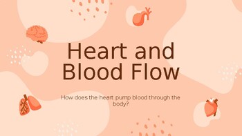 Preview of Human Body: Blood Flow and Heart, Factors Affecting Blood Flow