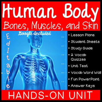 Preview of Human Body: Bones, Muscles, and Skin Unit