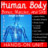 Human Body: Bones, Muscles, and Skin Unit