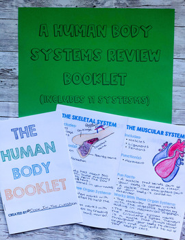 Preview of The Human Body Booklet (With Illustration Boxes)