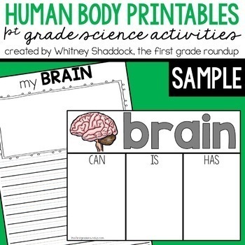 Preview of Human Body Brain Sample