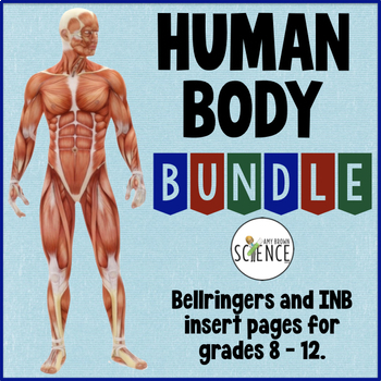 Preview of Human Body Systems Bell Ringers Anatomy Physiology Warm Ups Bundle