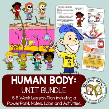 Preview of Human Body Systems - PowerPoint & Handouts Bundle