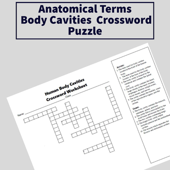 Human Body Cavities Crossword Puzzle by Dental Education Hub TPT