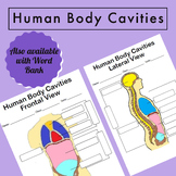 Human Body Cavities Labeling Worksheets