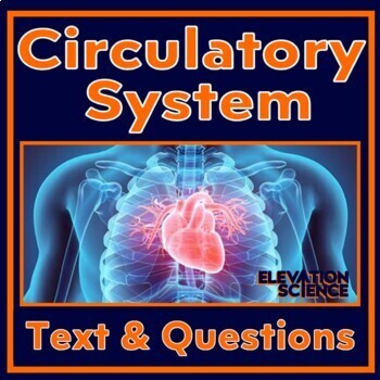 Preview of Human Body Circulatory System Reading and Worksheet with Google Slides Version